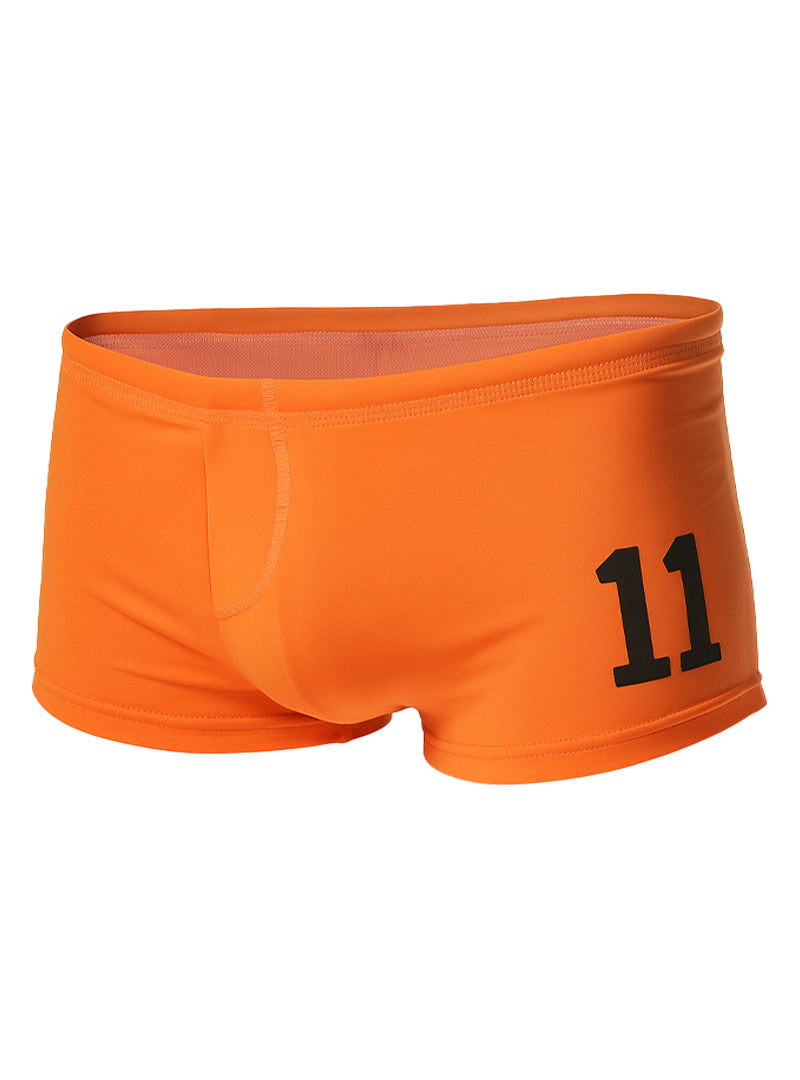 PRIDE 11 BRIEF